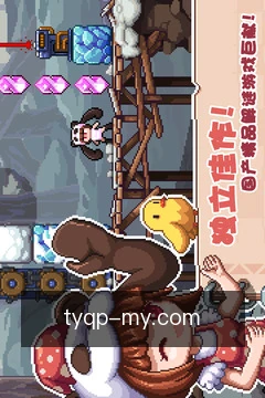 预约棋牌顾问